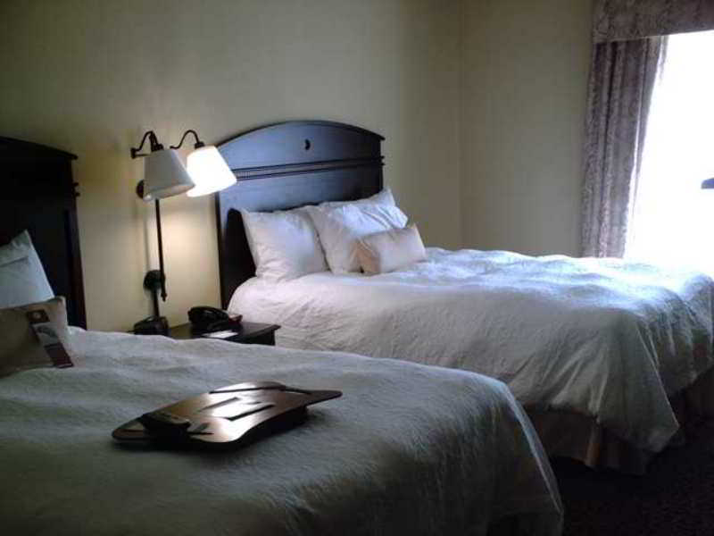 Hampton Inn Vidalia Cameră foto